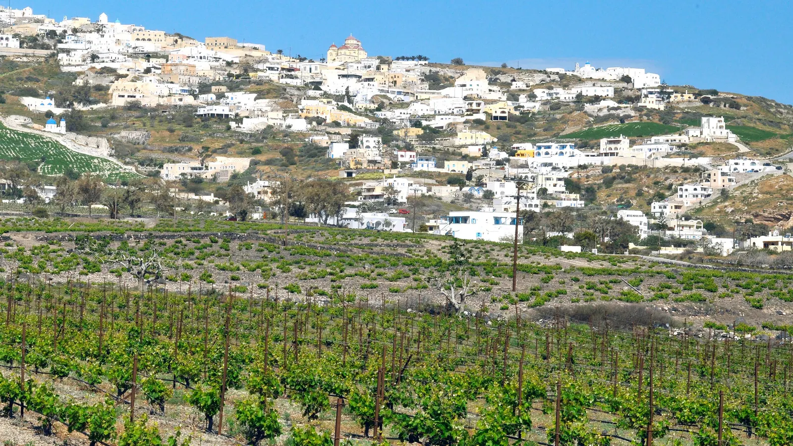 Exo Gonia above its vineyards, on the road inland from Fira